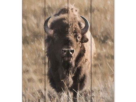 LD3118PAL - Yellowstone Bison - 12x16 Fashion