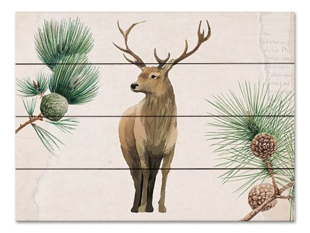 BRO271PAL - Deer in the Pines - 16x12 Online