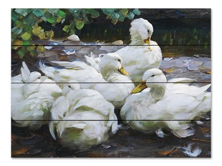 SDS1177PAL - Ducks by the Lake 2 - 16x12 Online now