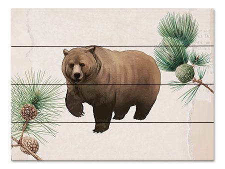 BRO270PAL - Bear in the Pines - 16x12 Fashion